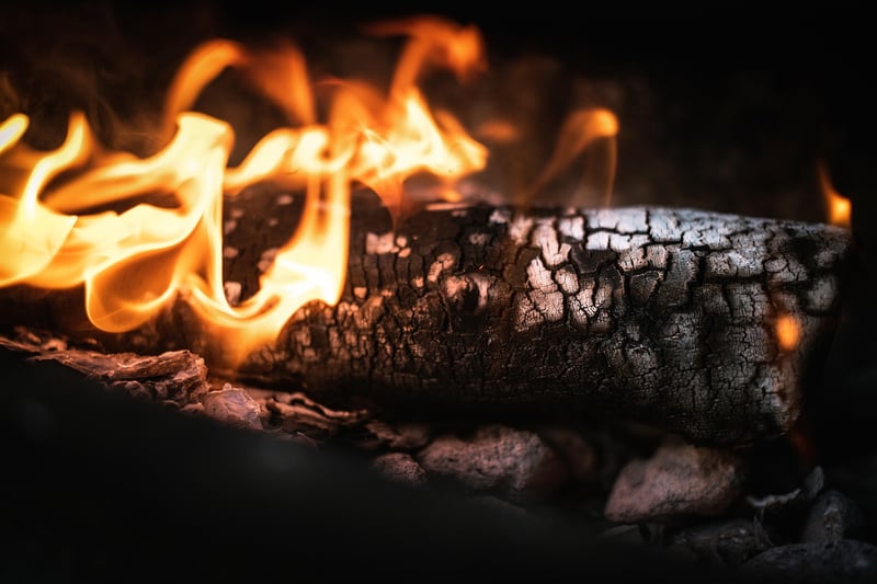 Dragon Fire Grilled Cuisine